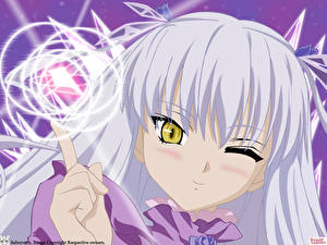 Фотографии Rozen Maiden