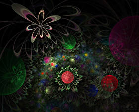 Картинки 3D Графика Цветы