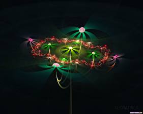 Фотография 3D Графика Цветы