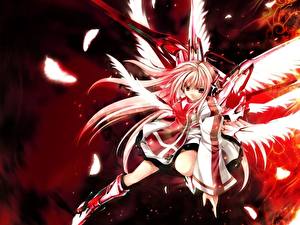 Обои Touhou Collection