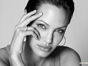 Фотографии Анджелина Джоли Знаменитости
