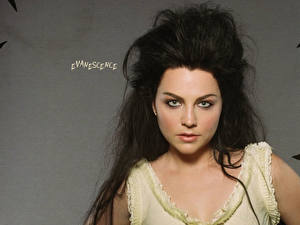 Фотография Evanescence Музыка
