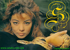 Фото Sandra