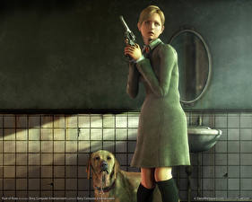 Фото Rule of Rose