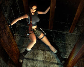 Обои Tomb Raider Tomb Raider The Angel of Darkness Игры
