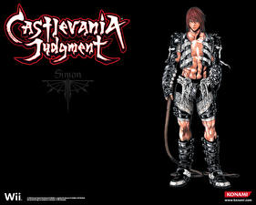 Фотография Castlevania Castlevania Judgment
