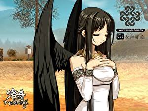 Фотография Mabinogi компьютерная игра