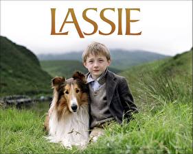 Картинки Колли Lassie Фильмы