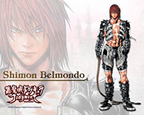 Фотография Castlevania Castlevania Judgment