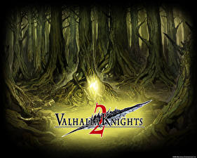 Картинки Valhalla Knights