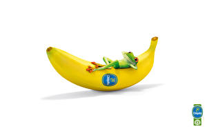 Фотографии Бананы Юмор