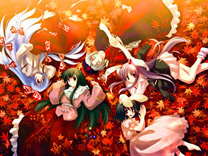 Фото Touhou Collection