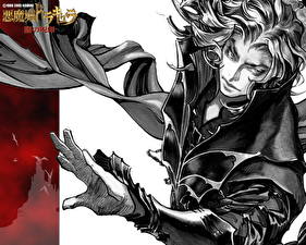 Фотография Castlevania Castlevania: Curse of Darkness