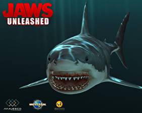 Фотография Jaws Unleashed