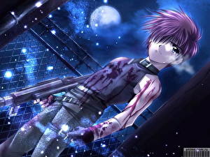 Фотография Перо ангела