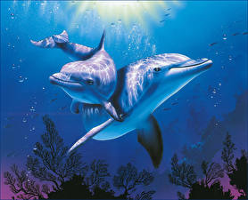 Картинка Дельфины животное
