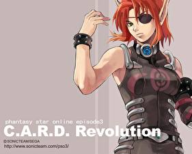 Фото Phantasy Star Phantasy Star Online:Episode3 - C.A.R.D.Revolution компьютерная игра