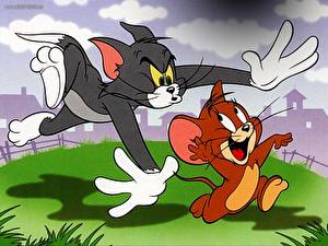 Картинки Том и Джерри