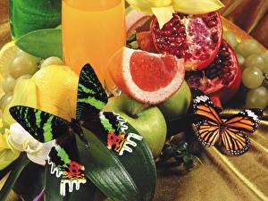 Фотография Фрукты Натюрморт Еда