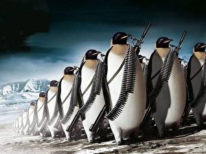 Картинка Пингвины Пули Смешные