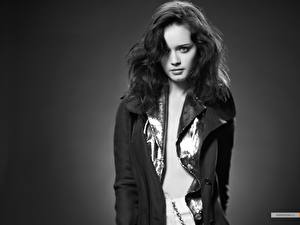 Фотографии Alexis Bledel