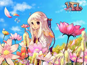 Фотографии La Tale