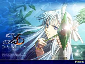 Фото Ys Ys VI: The Ark of Napishtim компьютерная игра