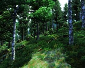 Обои The Elder Scrolls The Elder Scrolls IV: Oblivion