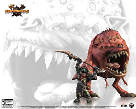 Фотография Warhammer Online: Age of Reckoning компьютерная игра