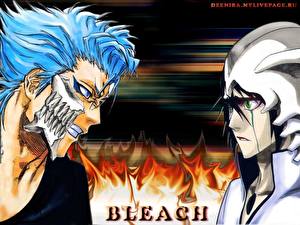 Картинка Bleach: Memories of Nobody Аниме