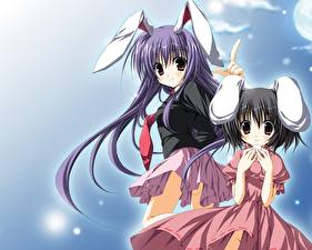 Обои Touhou Collection