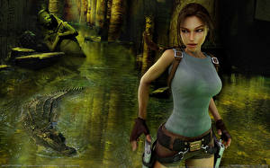 Картинка Tomb Raider Tomb Raider Anniversary