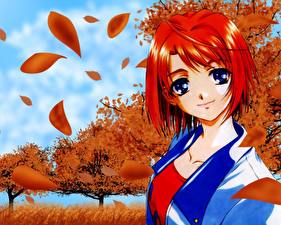 Фото Май-Химэ