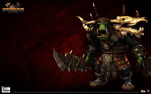 Фотографии Warhammer Online: Age of Reckoning компьютерная игра