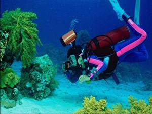 Картинки Подводный мир Кораллы