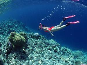Фото Подводный мир Кораллы