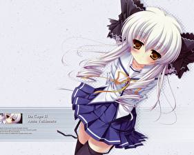 Картинки D.C. Da Capo