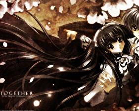 Фотографии Тока Гэттан Аниме