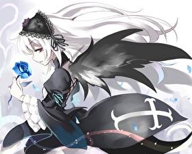 Фотографии Розен мейден