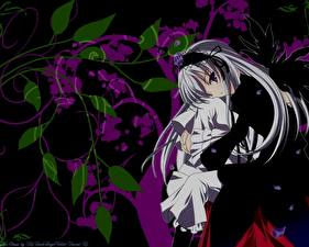 Фотография Rozen Maiden