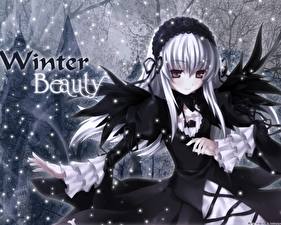 Картинки Розен мейден