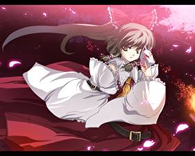 Фото Touhou Collection