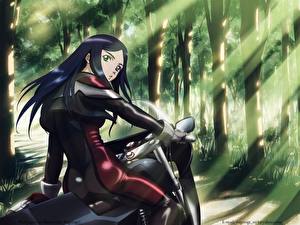 Картинки Mai-Hime