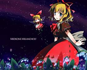 Фотография Touhou Collection