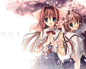 Фото С начала