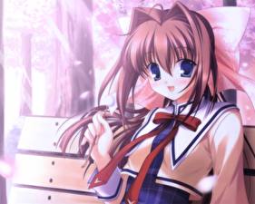 Картинка D.C. Da Capo Аниме