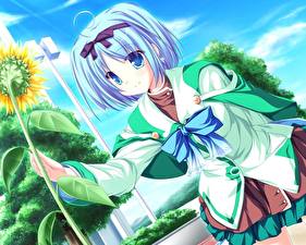 Картинка Magus Tale