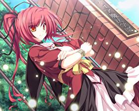 Фотографии Magus Tale