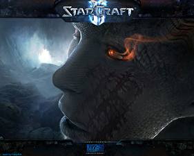 Фотография StarCraft StarCraft 2