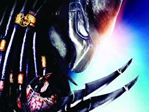 Фотография Хищник